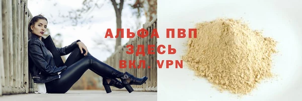 скорость Вяземский