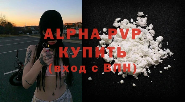 скорость Вяземский